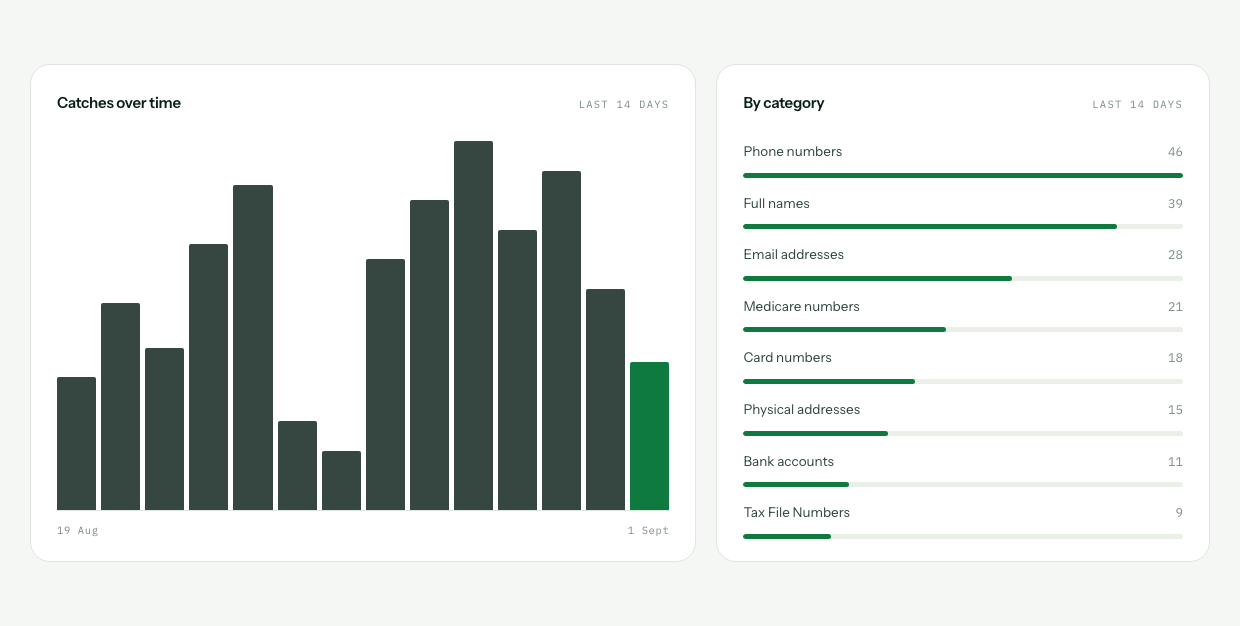 Two panels. A fourteen day bar chart of catches, and a category breakdown led by phone numbers, full names, email addresses and Medicare numbers.